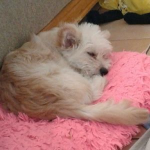 Meet your Posher, Aylin